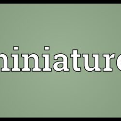 Mini definition